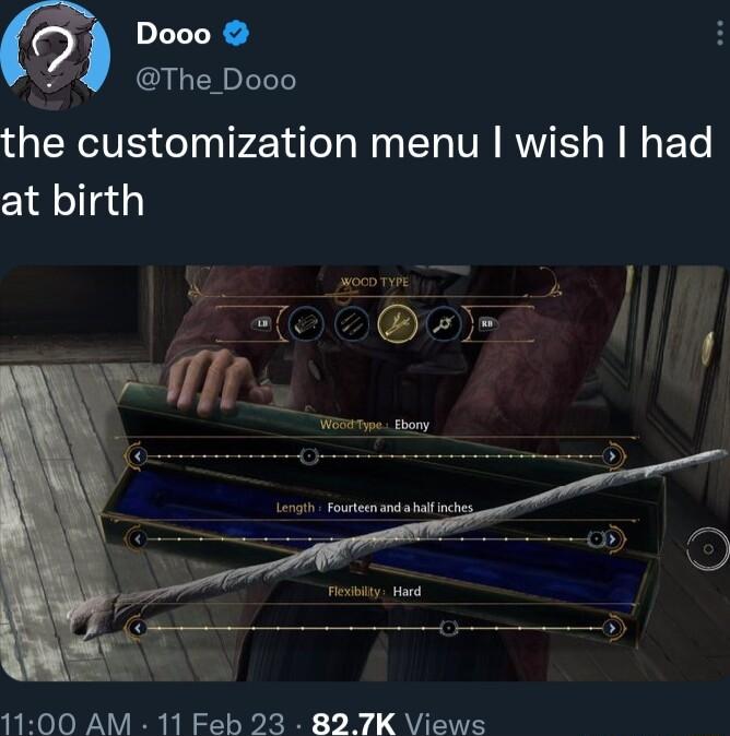 Dooo The_ Dooo the customization menu wish had cldlolfad 1100 AM 11 Feb 23 827K Views
