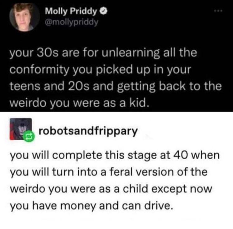 w Molly Priddy your 30s are for unlearning all the conformity you picked up in your teens and 20s and getting back to the weirdo you were as a kid E robotsandfrippary you will complete this stage at 40 when you will turn into a feral version of the weirdo you were as a child except now you have money and can drive