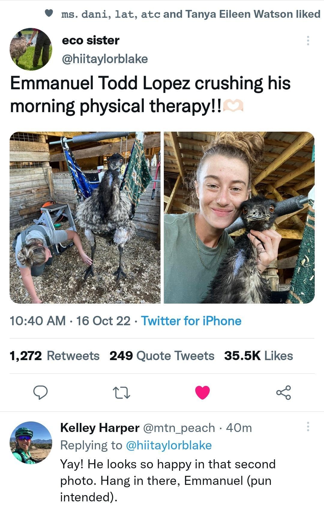 123 o3 BN Tl 66a Tweet ms dani lat atc and Tanya Eileen Watson liked eco sister hiitaylorblake Emmanuel Todd Lopez crushing his morning physical therapy 1040 AM 16 Oct 22 Twitter for iPhone 1272 Retweets 249 Quote Tweets 355K Likes o u Kelley Harper mtn_peach 40m Replying to hiitaylorblake Yay He looks so happy in that second photo Hang in there Emmanuel pun intended o w1 Q 20 Tweet your reply 1 o