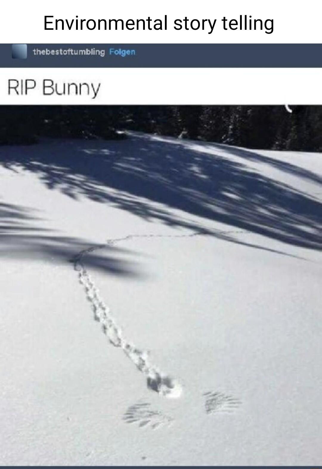 Environmental story telling RIP Bunny