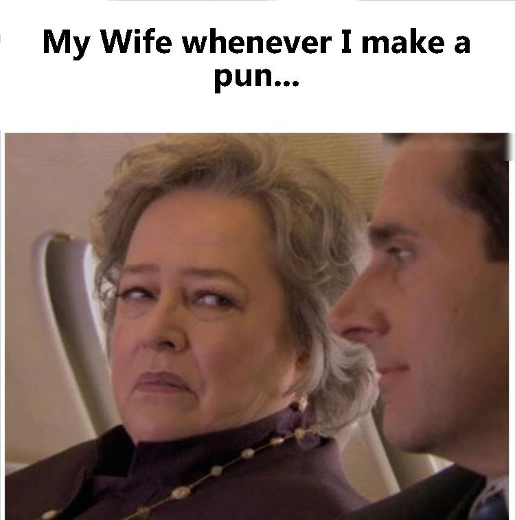 My Wife whenever I make a pun