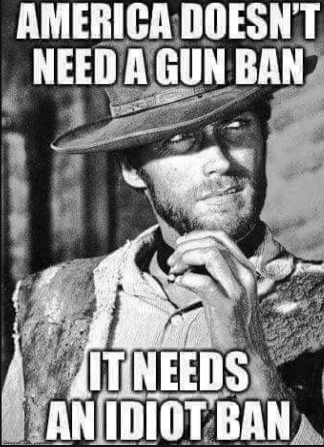 AMERICA DOESN'T NEED A GUN BAN IT NEEDS AN IDIOT BAN