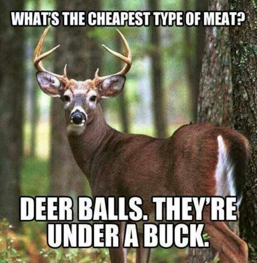 WHAT'S THE CHEAPEST TYPE OF MEAT? DEER BALLS. THEY'RE UNDER A BUCK.
