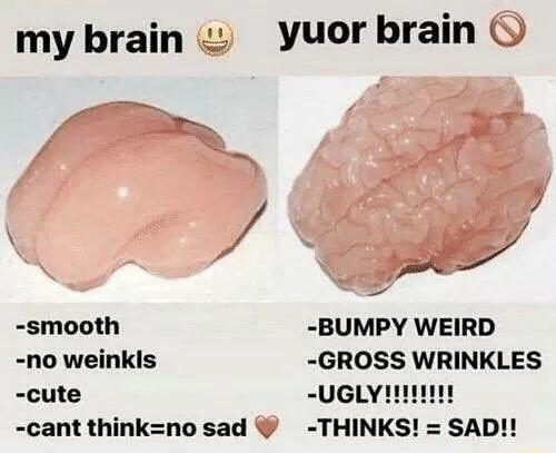 my brain yuor brain 7 smooth BUMPY WEIRD no weinkis GROSS WRINKLES cute UGLY cant thinknosad THINKS SAD