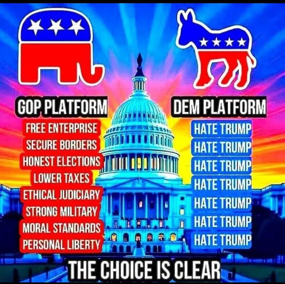 GOP PLATFORM\nFree Enterprise\nSecure Borders\nHonest Elections\nLower Taxes\nEthical Judiciary\nStrong Military\nMoral Standards\nPersonal Liberty\n\nDEM PLATFORM\nHATE TRUMP\nHATE TRUMP\nHATE TRUMP\nHATE TRUMP\nHATE TRUMP\nHATE TRUMP\nHATE TRUMP\nHATE TRUMP\nHATE TRUMP\nHATE TRUMP\nHATE TRUMP\n\nTHE CHOICE IS CLEAR