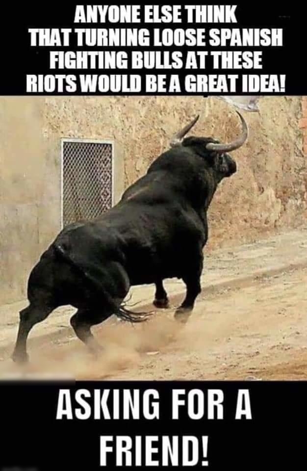 THAT TURNING LOOSE SPANISH FIGHTING BULLS AT THESE RIOTS WOULD BEA GREAT IDER L0 ASKING FORA ERIEND