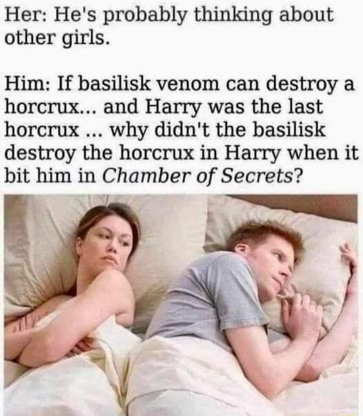 Her Hes probably thinking about other girls Him If basilisk venom can destroy a horcrux and Harry was the last horcrux why didnt the basilisk destroy the horcrux in Harry when it bit him in Chamber of Secrets SL