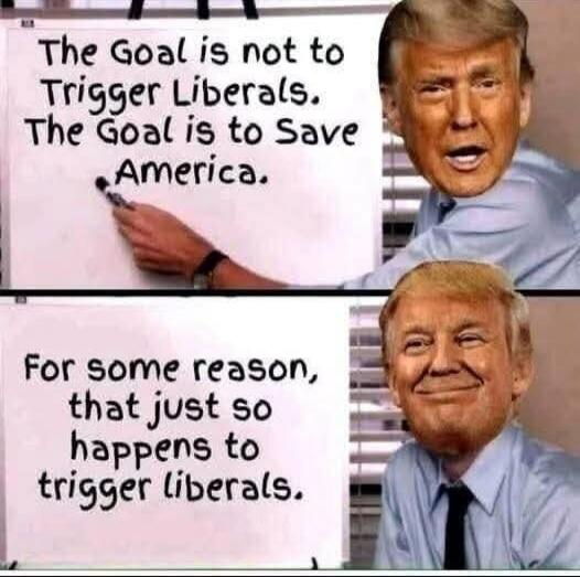 The Goal is not to Trigger Liberals. The Goal is to Save America. For some reason, that just so happens to trigger liberals.