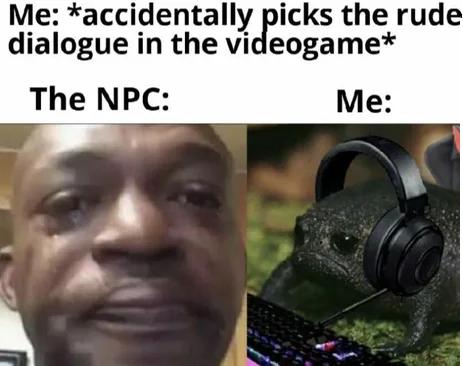 Me accidentallycricks the rude dialogue in the vi eogame The NPC Me