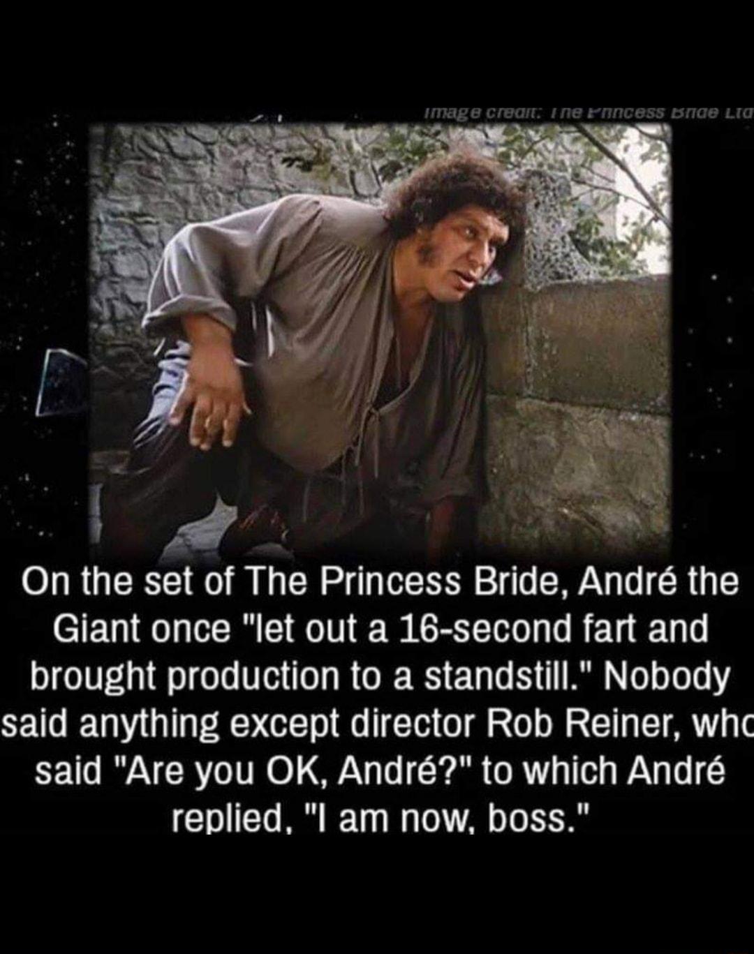 On the set of The Princess Bride Andr the Giant once let out a 16 second fart and brought production to a standstill Nobody said anything except director Rob Reiner whc said Are you OK Andr to which Andr CHIERRIET I A TS