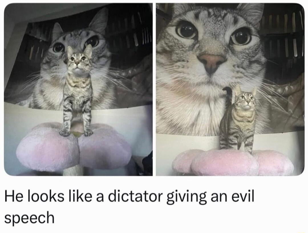 He looks like a dictator giving an evil speech