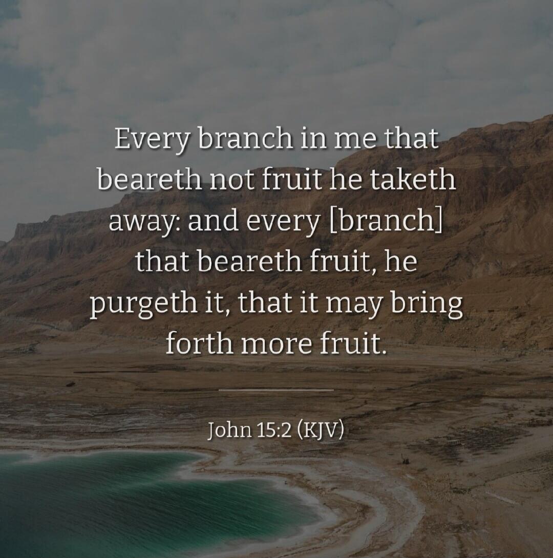 Every branch in me that beareth not fruit he taketh away: and every [branch] that beareth fruit, he purgeth it, that it may bring forth more fruit. John 15:2 (KJV)
