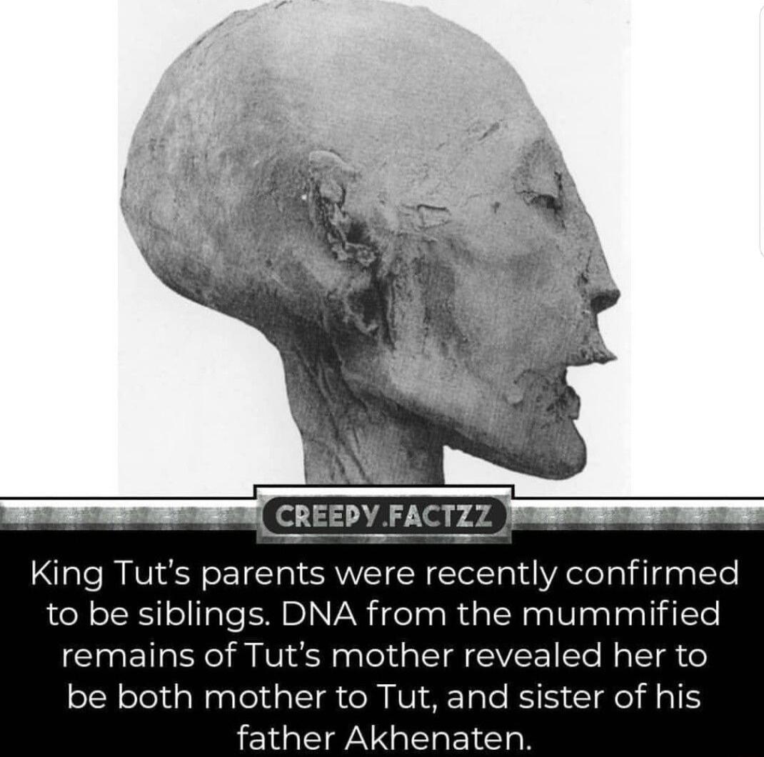 CREEPYFACTZZ e King Tuts parents were recently confirmed to be siblings DNA from the mummified remains of Tuts mother revealed her to be both mother to Tut and sister of his father Akhenaten