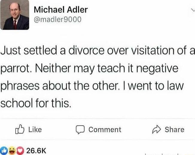A Michael Adler AN madler9000 Just settled a divorce over visitation of a parrot Neither may teach it negative phrases about the other went to law school for this o Like comment 2 Share O O 266K