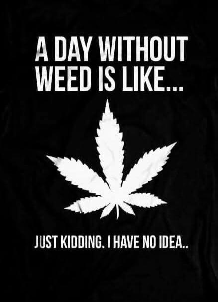 A DAY WITHOUT WEED IS LIKE... JUST KIDDING. I HAVE NO IDEA..