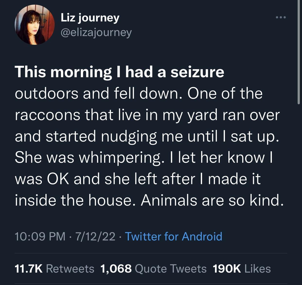 Liz journey elizajourney This morning had a seizure outdoors and fell down One of the raccoons that live in my yard ran over and started nudging me until sat up She was whimpering let her know was OK and she left after made it inside the house Animals are so kind 1009 PM 71222 Twitter for Android L QETEE G KoL O ERITELTCH o JRICH