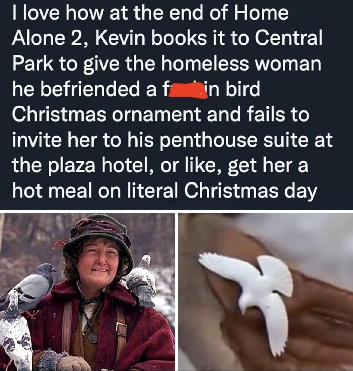 I love how at the end of Home Alone 2 Kevin books it to Central Park to give the homeless woman he befriended a fasfin bird 0 115 BRI G ET Ty T T R EETI R invite her to his penthouse suite at the plaza hotel or like get her a hot meal on literal Christmas day b Like Comment Share