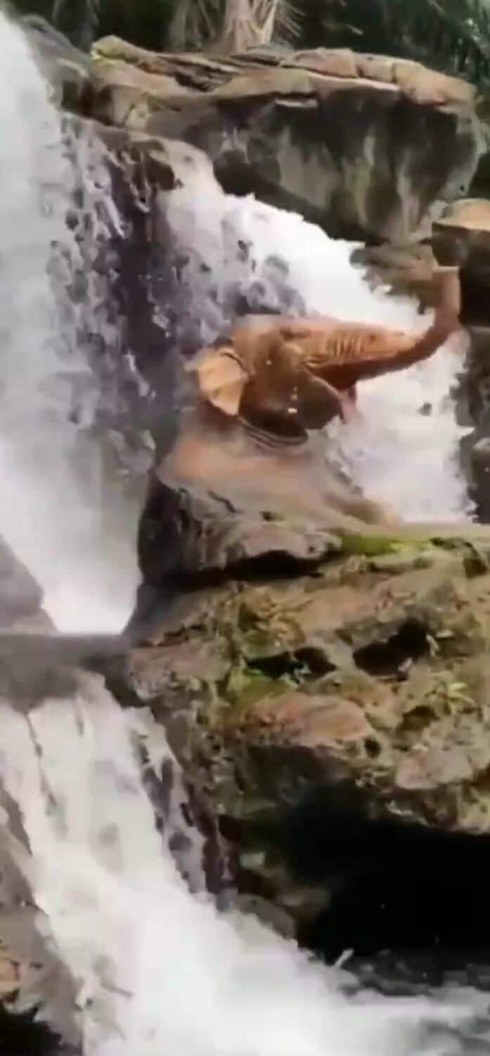 An elephant sitting on rocks beside a waterfall, trunk raised.