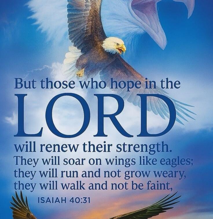But those who hope in the LORD will renew their strength. They will soar on wings like eagles; they will run and not grow weary, they will walk and not be faint, ISAIAH 40:31