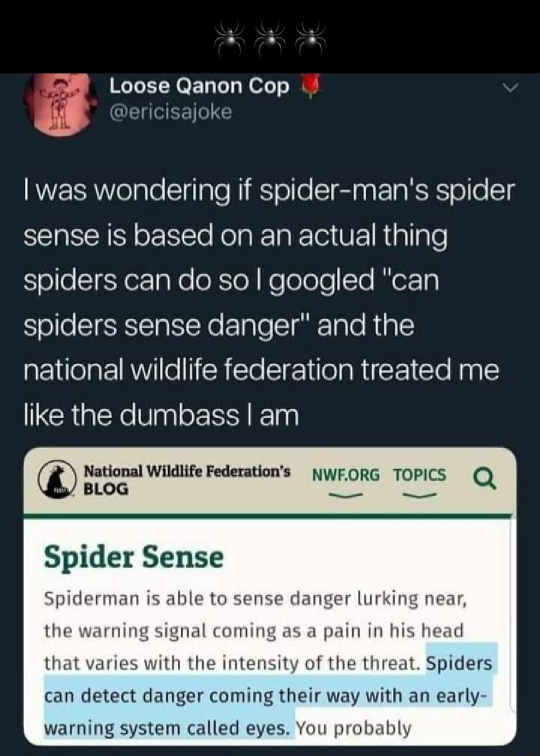 Loose Qanon Cop L ericisajoke was wondering if spider mans spider sense is based on an actual thing ofeSTESYerTaKe oXTe KeTololee IoxT spiders sense danger and the national wildlife federation treated me like the dumbass am National Wildlife Federations NWFORG TOPICS Q Spider Sense Spiderman is abl anger lurking near a pain in his head with the intensity of the threat Spiders can detect danger com