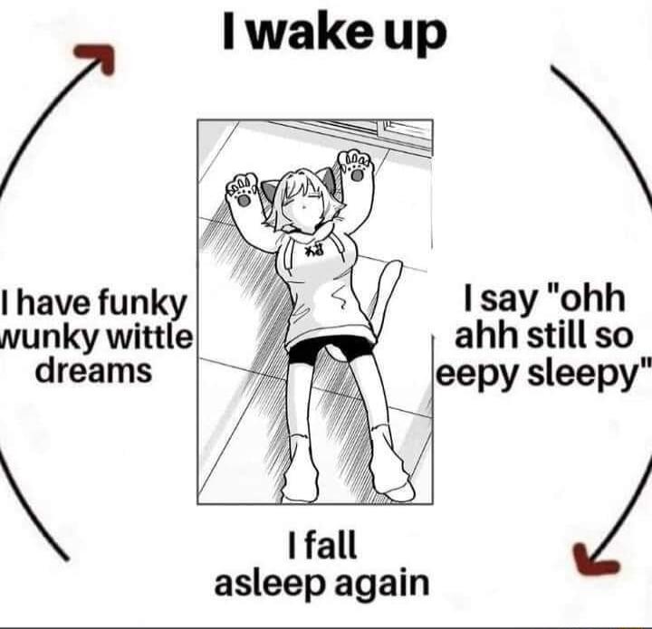 have fun vunky wittle y dreams I wake up Ifall asleep again Isay ohh ahhstill so eepy sleepy