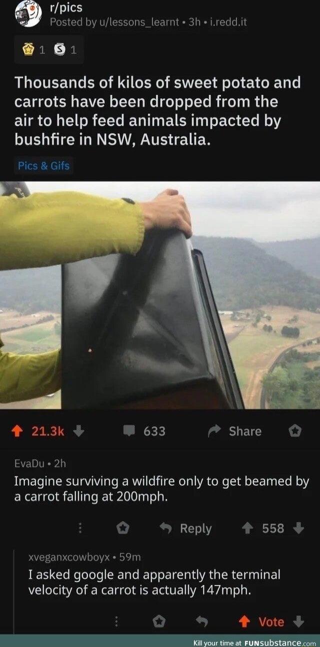 rpics Posted by ulessons_learnt 3h ireddit RN Thousands of kilos of sweet potato and carrots have been dropped from the EUR IR EE RGN ETER T T e N Y bushfire in NSW Australia Pics Gifs 633 Share EvaDu 2h Imagine surviving a wildfire only to get beamed by a carrot falling at 200mph Reply 558 1 asked google and apparently the terminal velocity of a carrot is actually 147mph