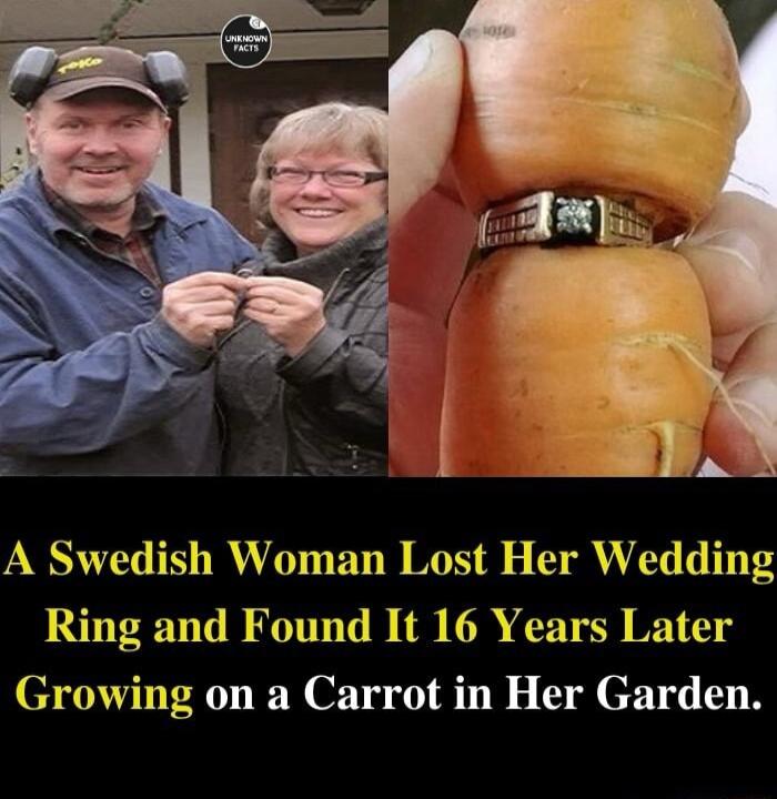 A Swedish Woman Lost Her Wedding Ring and Found It 16 Years Later Growing on a Carrot in Her Garden