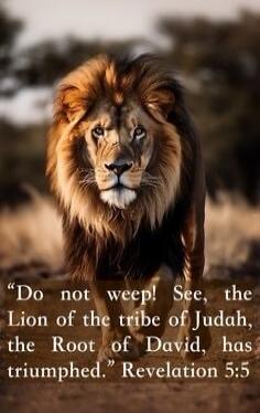 Do not weep! See, the Lion of the tribe of Judah, the Root of David, has triumphed. Revelation 5:5