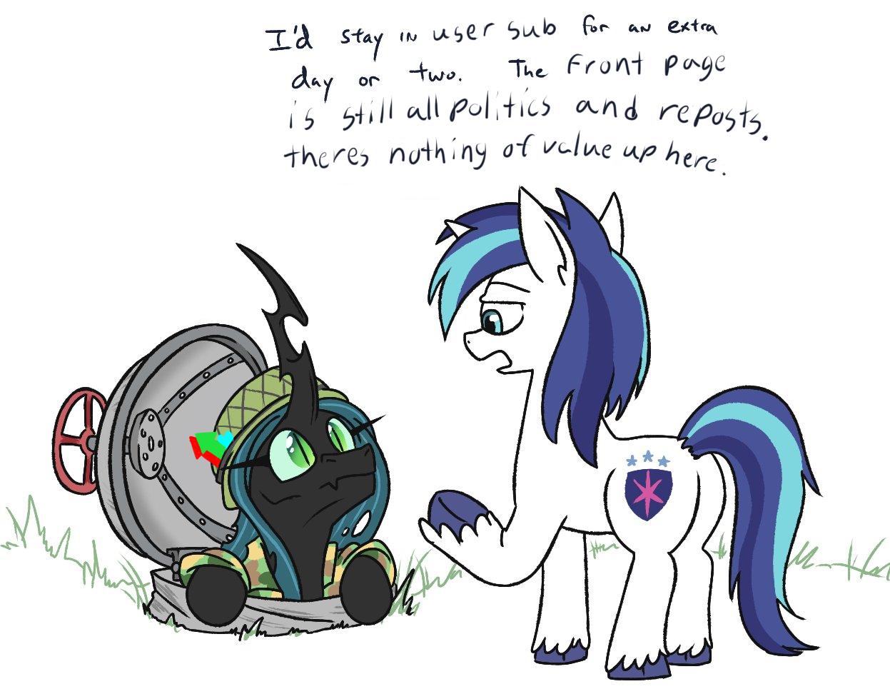 TR stey wowser oub SRR Ay o Aus T Front ey 5 ol all pol i and rep 25t Sier csonaning ot Velweo g e