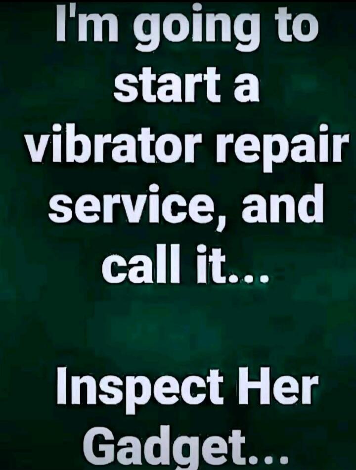 I'm going to start a vibrator repair service, and call it... Inspect Her Gadget...