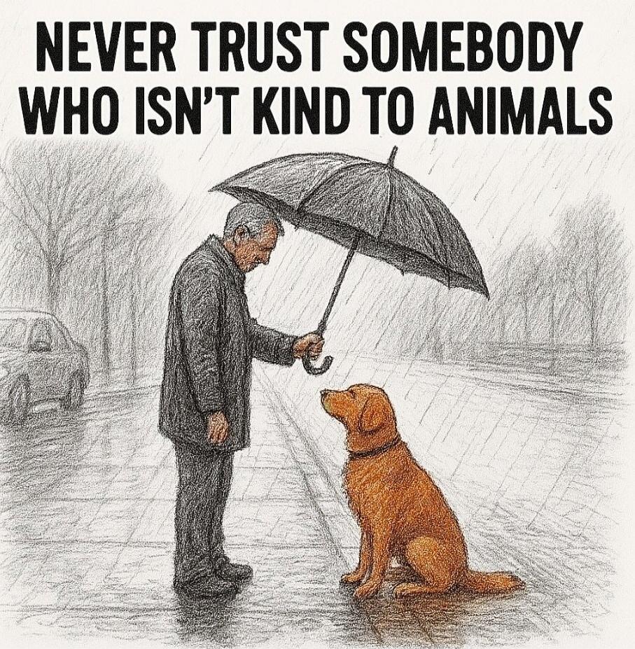 NEVER TRUST SOMEBODY WHO ISN'T KIND TO ANIMALS