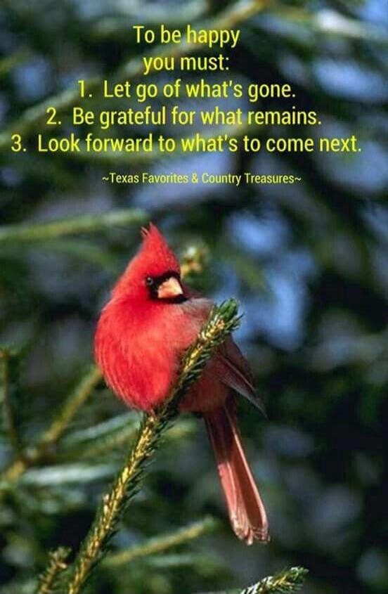 To be happy you must: 1. Let go of what's gone. 2. Be grateful for what remains. 3. Look forward to what's to come next. ~Texas Favorites & Country Treasures~