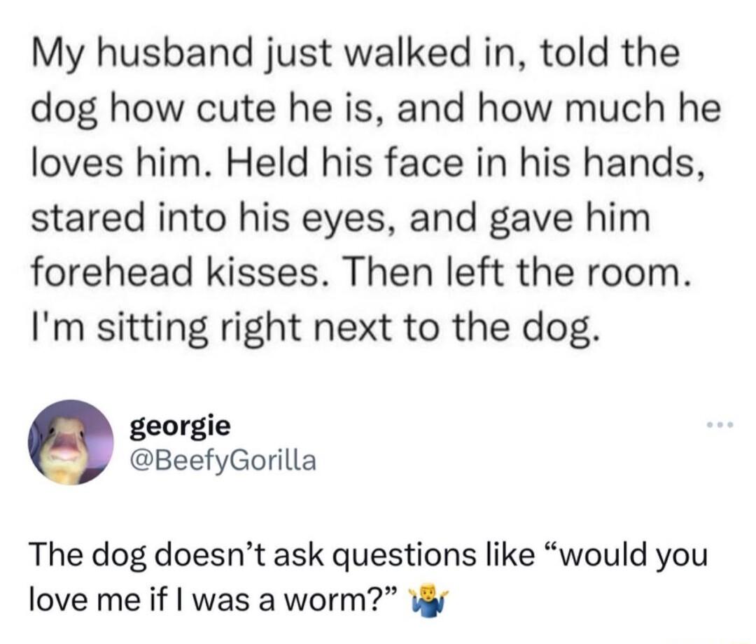 My husband just walked in told the dog how cute he is and how much he loves him Held his face in his hands stared into his eyes and gave him forehead kisses Then left the room Im sitting right next to the dog georgie BeefyGorilla The dog doesnt ask questions like would you love me if was a worm