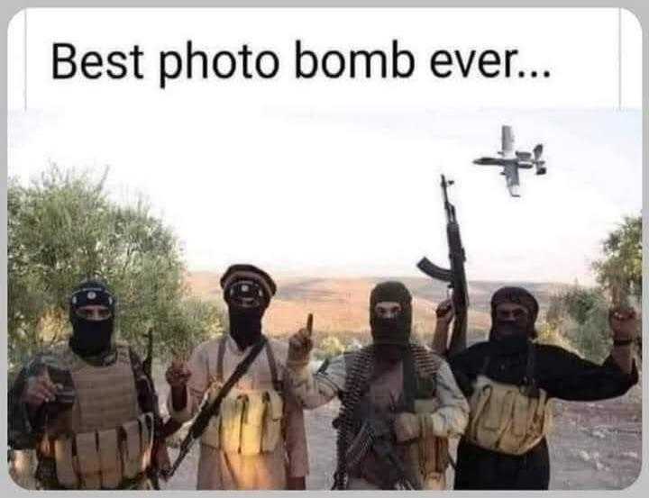 Best photo bomb ever...