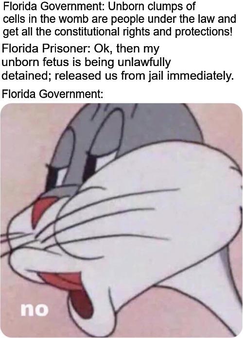 Florida Government Unborn clumps of cells in the womb are people under the law and get all the constitutional rights and protections Florida Prisoner Ok then my unborn fetus is being unlawfully detained released us from jail immediately Florida Government