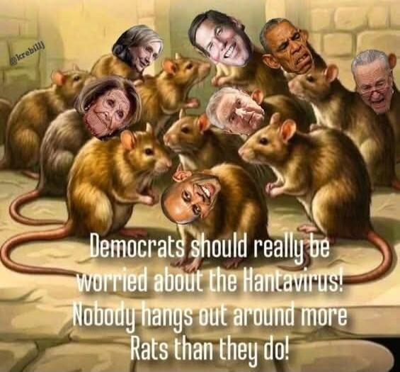 Democrats should really be worried about the Hantavirus! Nobody hangs out around more Rats than they do!