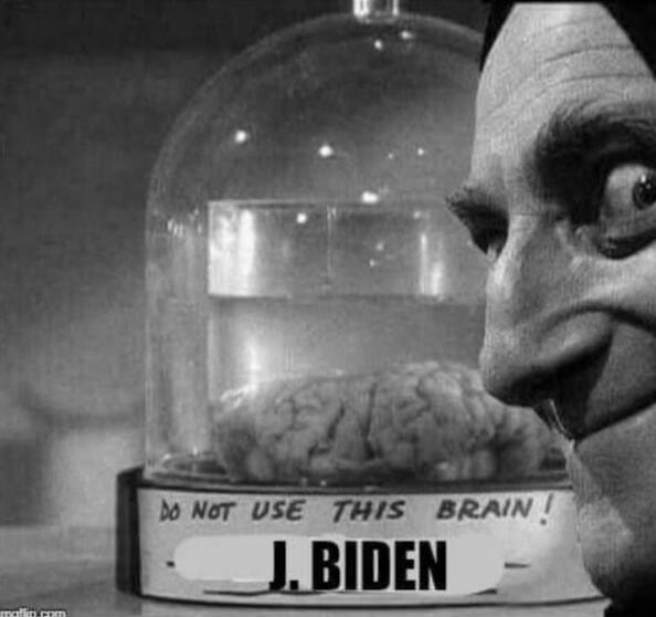 DO NOT USE THIS BRAIN! J. BIDEN