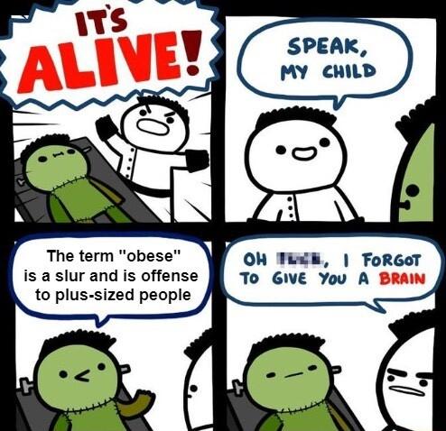 The term obese is a slur and is offense to plus sized people