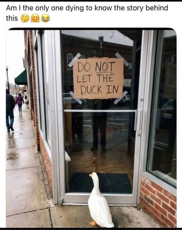 Am I the only one dying to know the story behind this? DO NOT LET THE DUCK IN