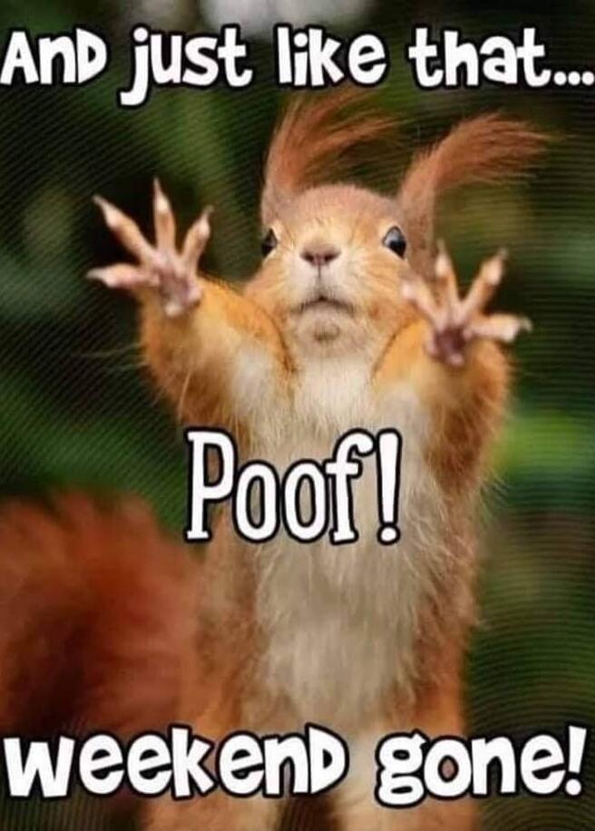 And just like that... Poof! weekend gone!