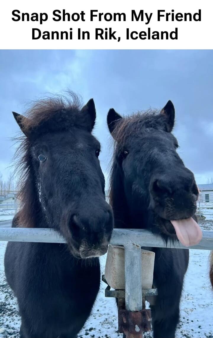 Snap Shot From My Friend Danni In Rik, Iceland