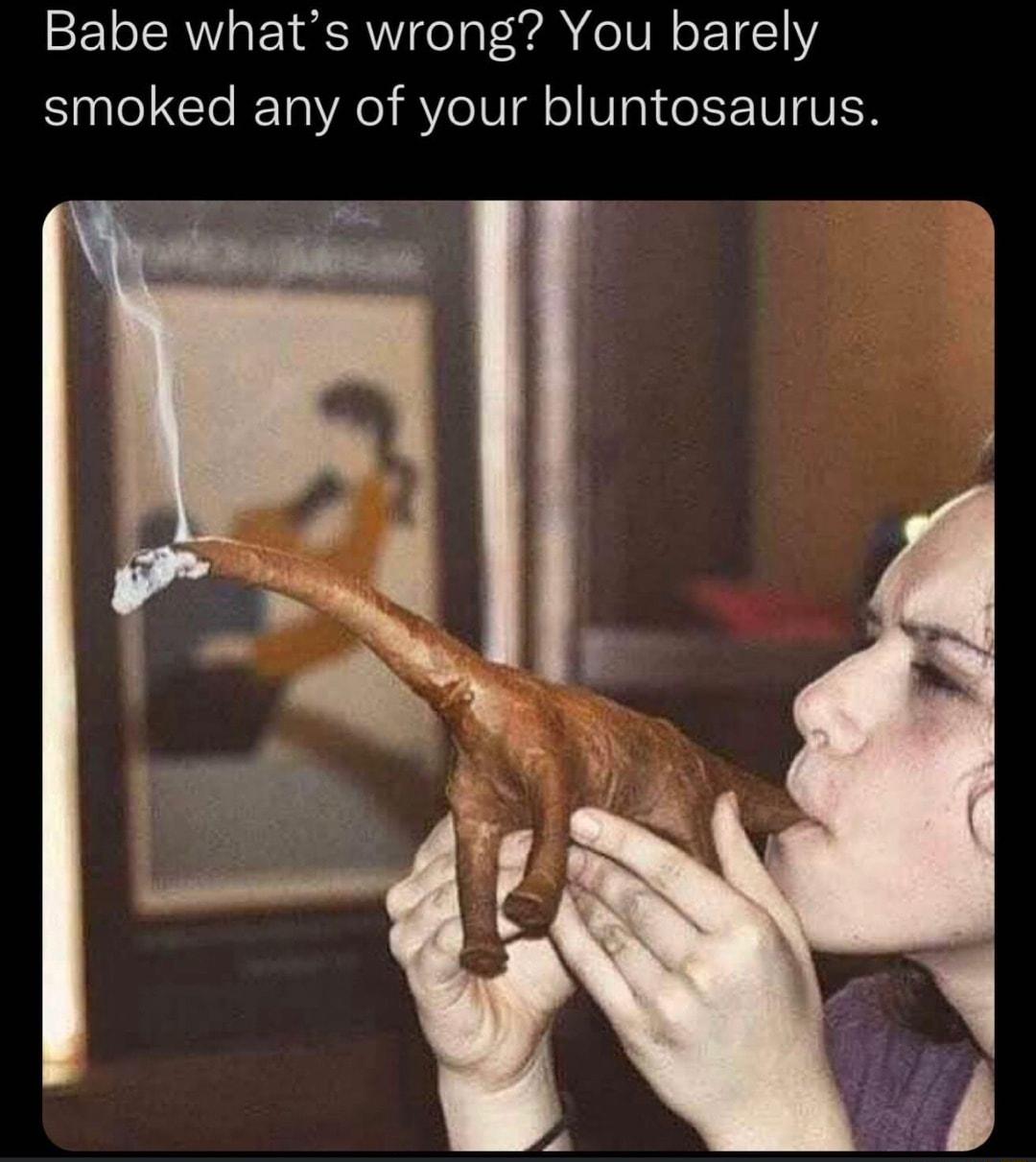 Babe whats wrong You barely smoked any of your bluntosaurus