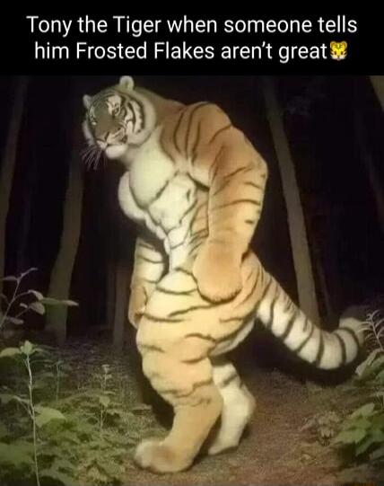 Tony the Tiger when someone tells him Frosted Flakes arent great