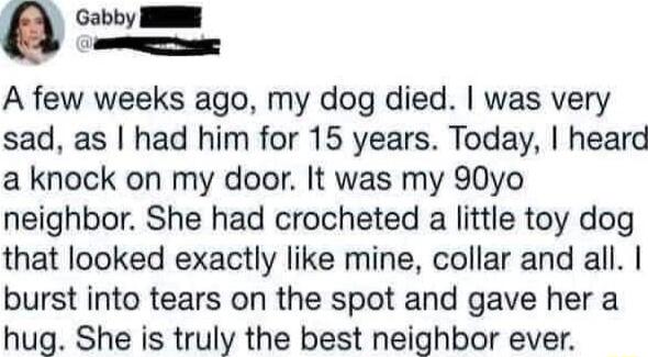 Gabby NN A few weeks ago my dog died was very sad as had him for 15 years Today heard a knock on my door It was my 90yo neighbor She had crocheted a little toy dog that looked exactly like mine collar and all burst into tears on the spot and gave her a hug She is truly the best neighbor ever