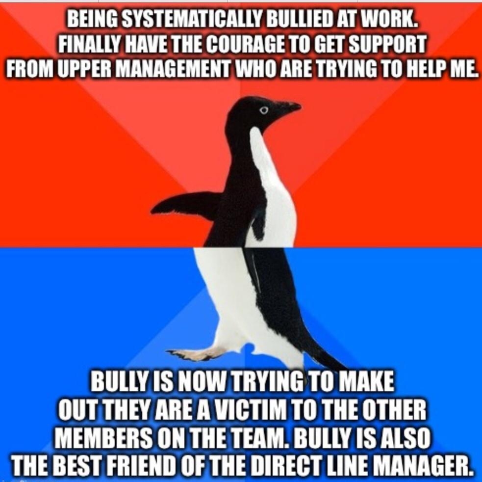 BEING SYSTEMATICALLY BULLIED AT WORK FINALLY HAVE THE COURAGE TO GET SUPPORT FROM UPPER MANAGEMENT WHO ARE TRYING TO HELP ME BULLY IS NOW TRYING TO MAKE OUTTHEY ARE A VICTIM TO THE OTHER MEMBERS ON THE TEAM BULLY IS ALSO LHEBEST FRIEND OF THE DIRECT LINE MANAGER