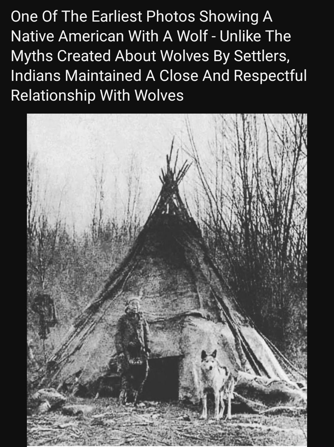One Of The Earliest Photos Showing A Native American With A Wolf Unlike The Myths Created About Wolves By Settlers Indians Maintained A Close And Respectful EEN ST AV GRS