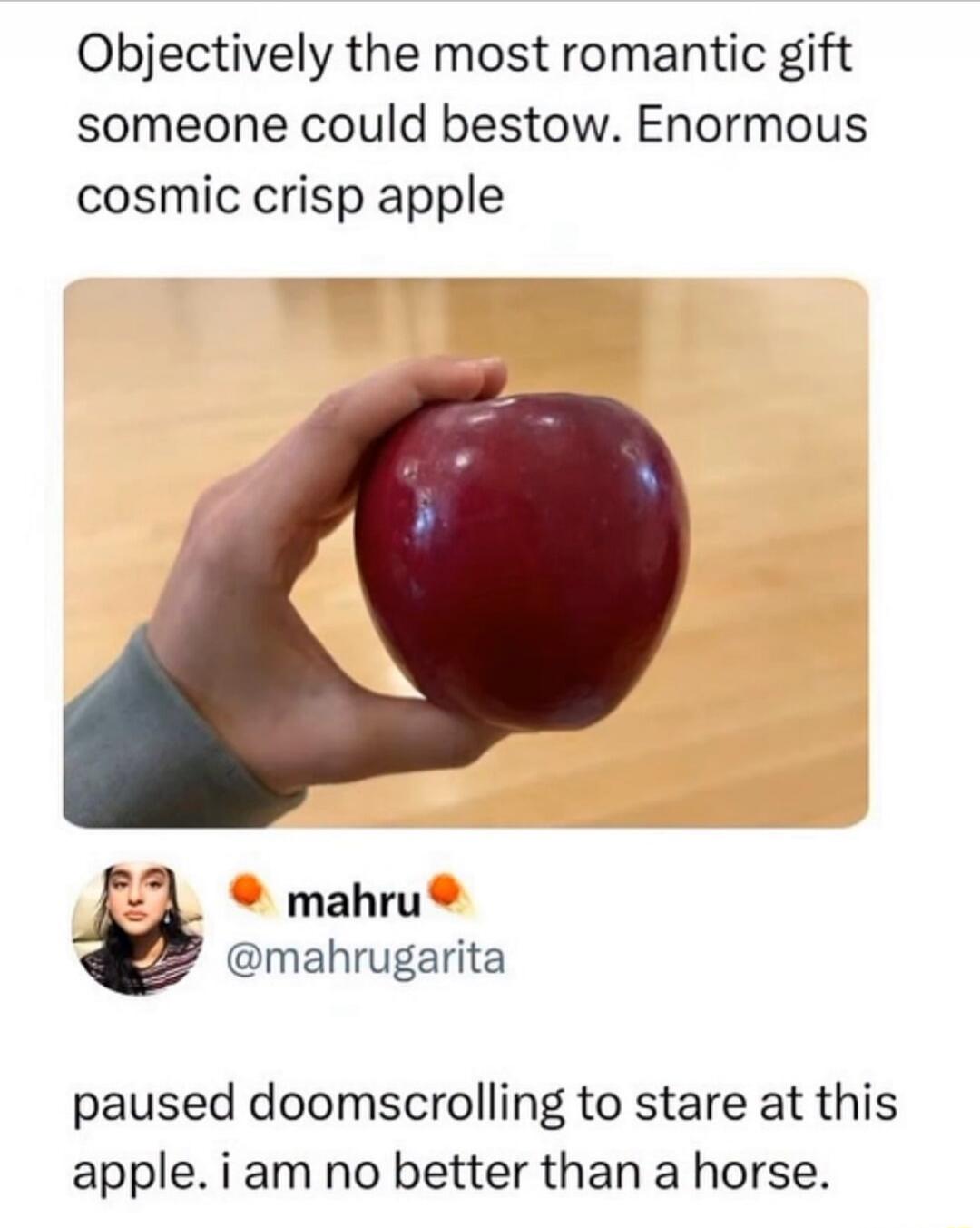 Objectively the most romantic gift someone could bestow. Enormous cosmic crisp apple. mahru @mahrugarita. paused doomscrolling to stare at this apple. i am no better than a horse.