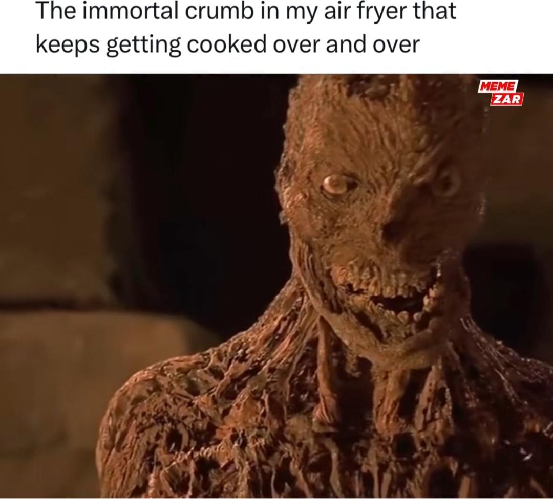 The immortal crumb in my air fryer that keeps getting cooked over and over