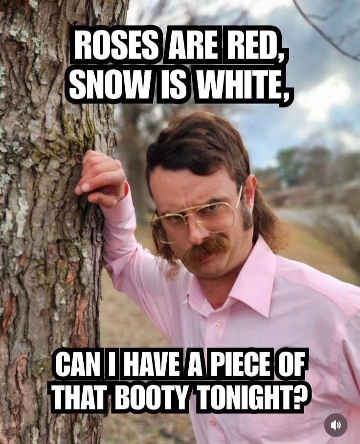 ROSES ARE RED, SNOW IS WHITE, CAN I HAVE A PIECE OF THAT BOOTY TONIGHT?