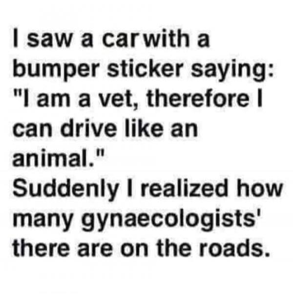 I saw a car with a bumper sticker saying: 'I am a vet, therefore I can drive like an animal.' Suddenly I realized how many gyneacologists' there are on the roads.